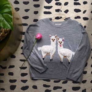 Long Sleeve Puffy Llama Top